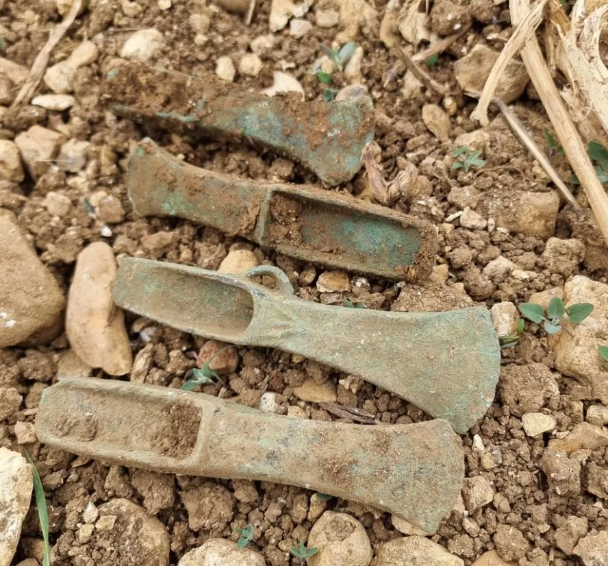 They searched for 15 minutes, stumbled upon a lifetime discovery of 14 Bronze Age axes